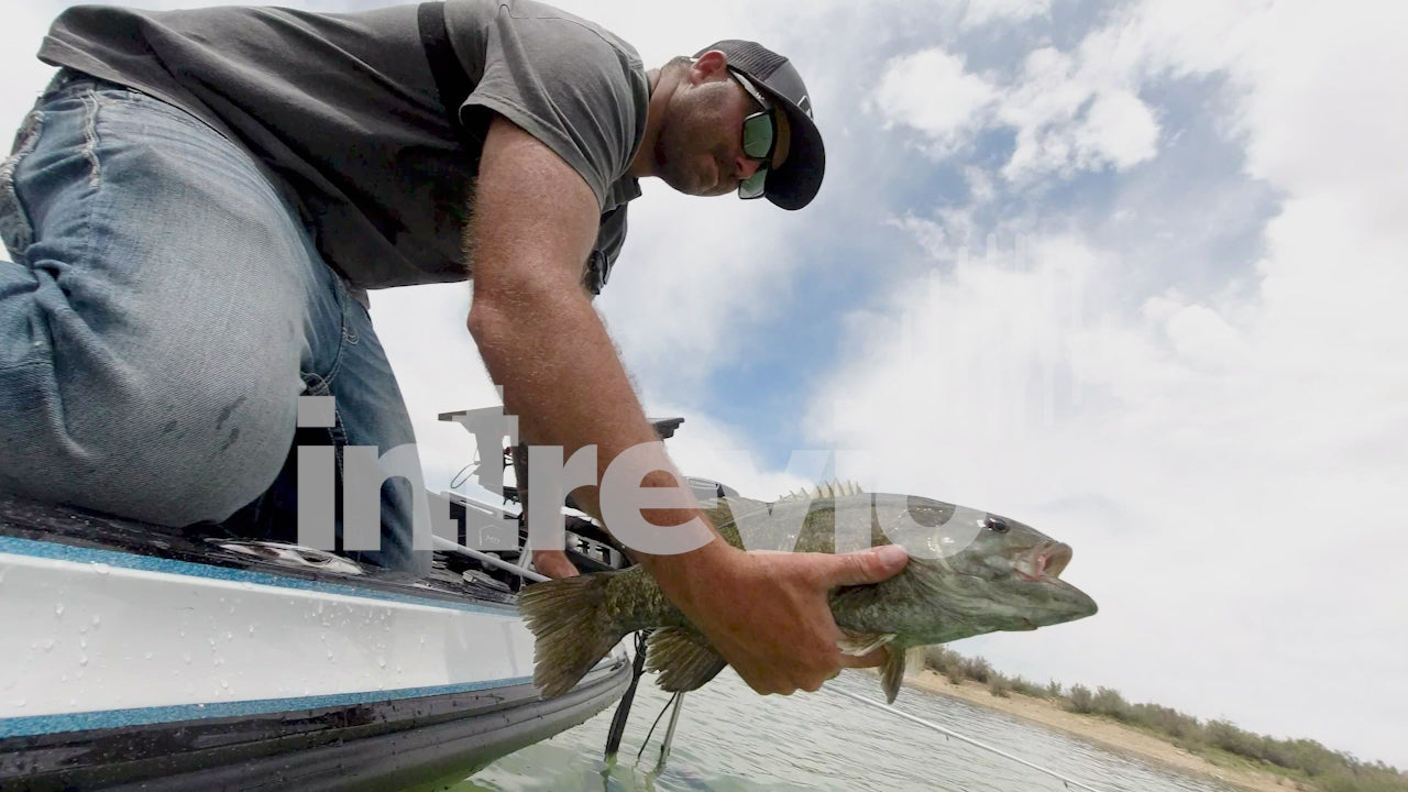 Underwater Releasing Smallmouth Bass