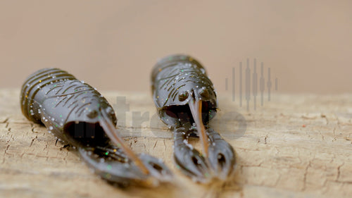 2.5 Juvy Craw Feature-3