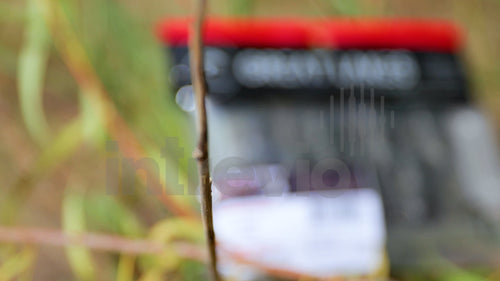 2.5 Juvy Craw Packaging-2