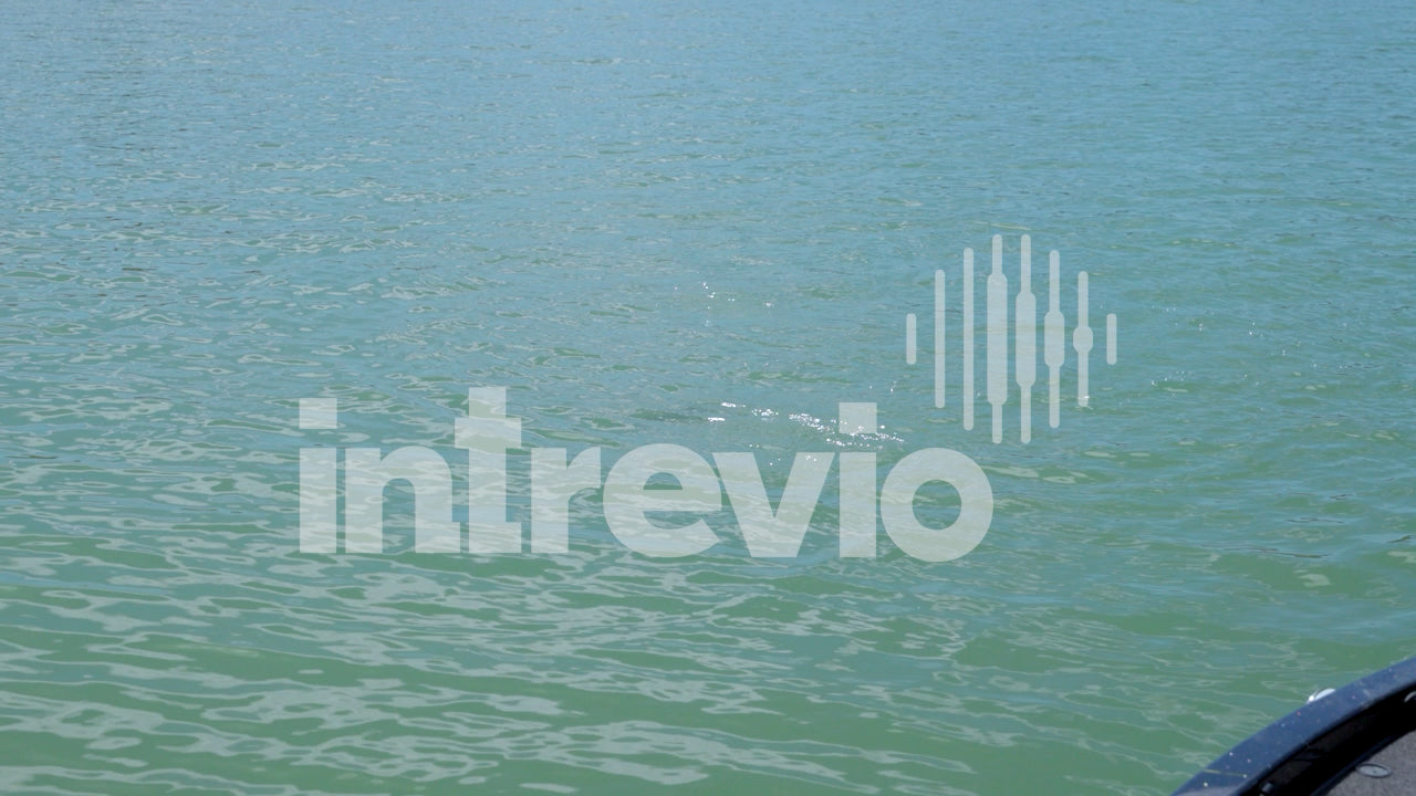 Bass Jumping Out of Water