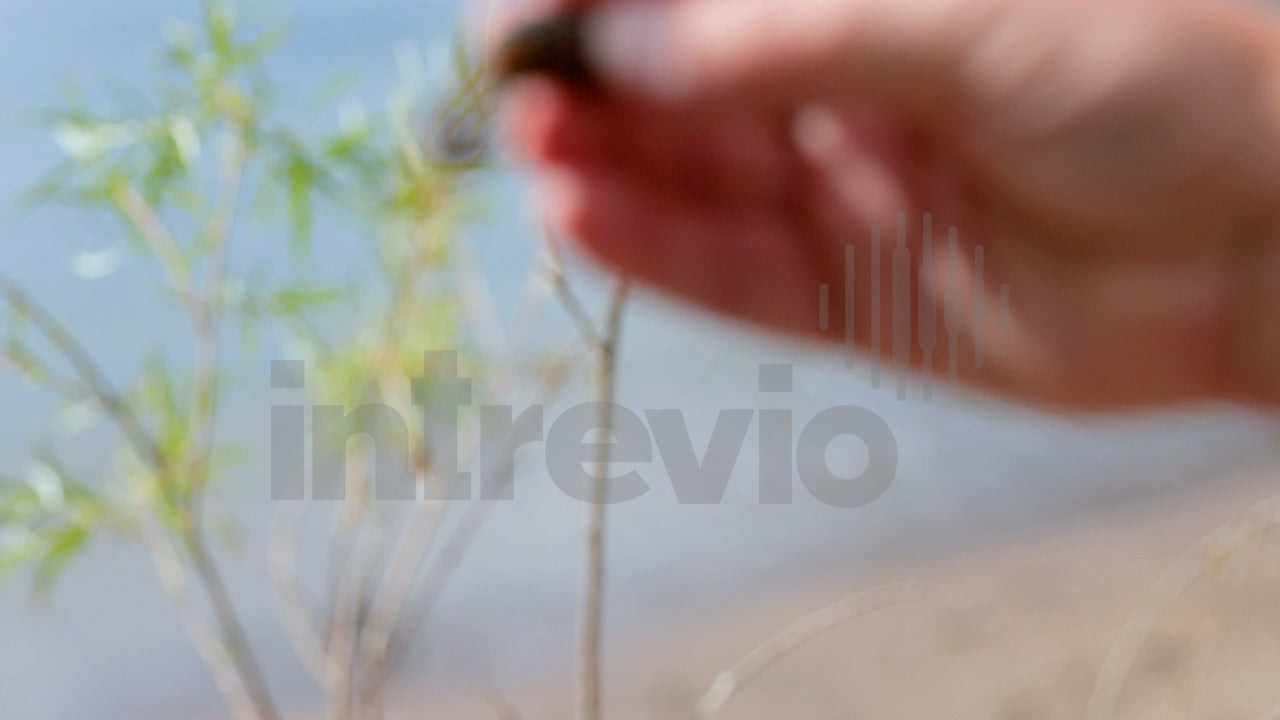 Holding  2.5 Juvy Craw-1