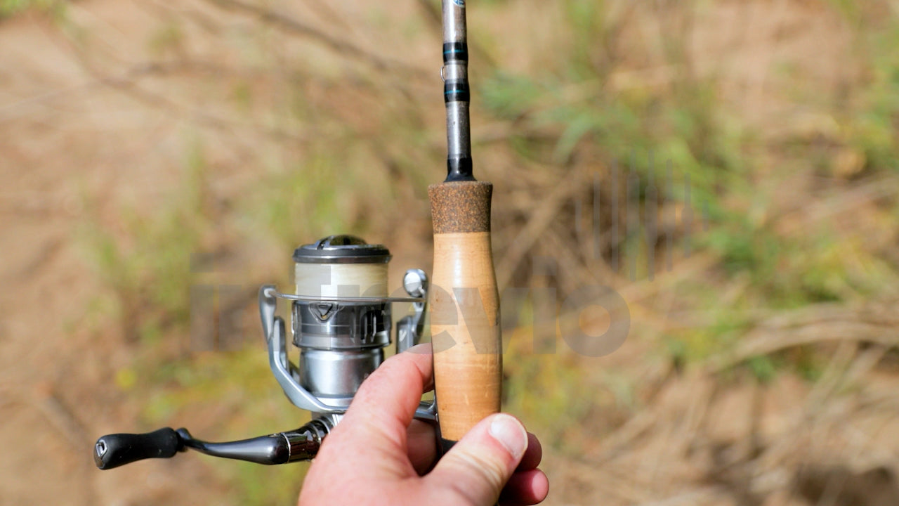 Nasci Reel & Avid Pole Quick Look