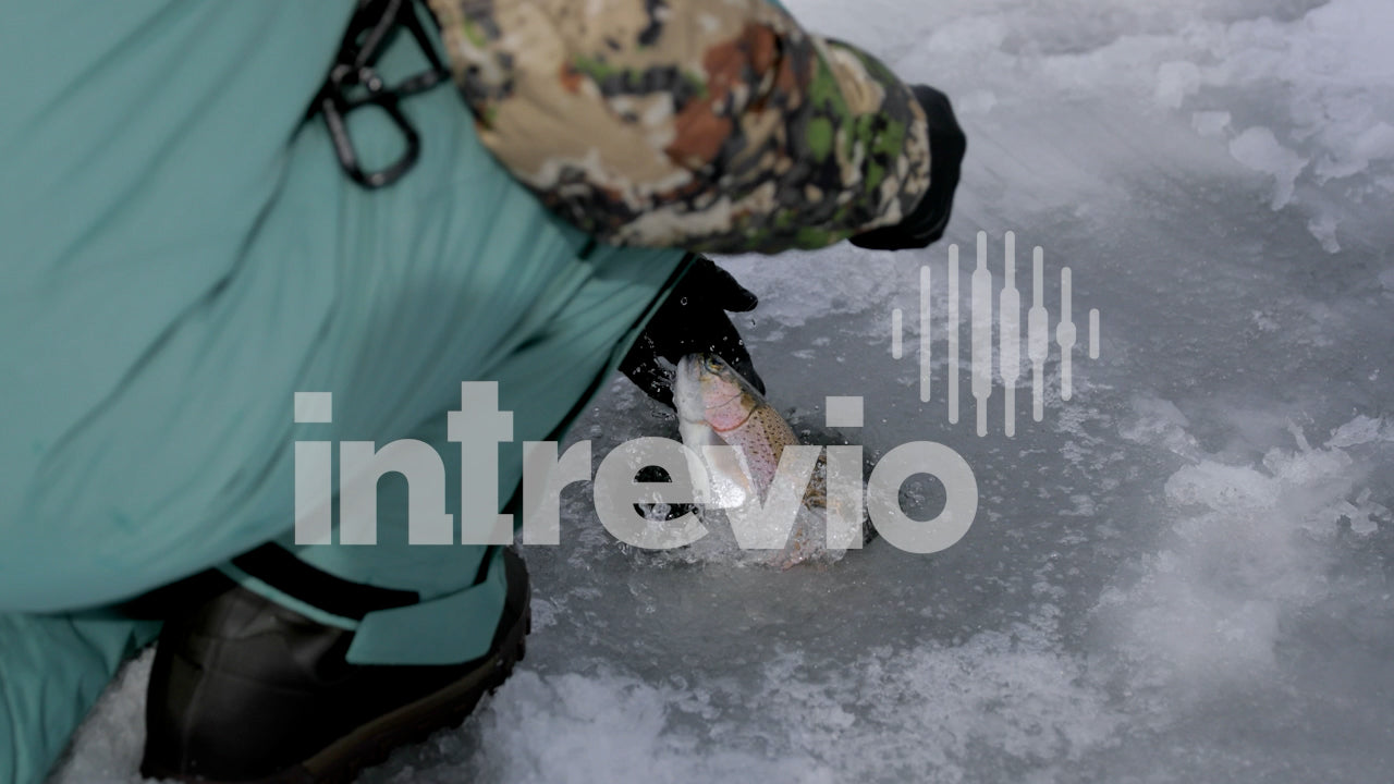 Pulling Rainboow Trout out of Ice Fishing Hole