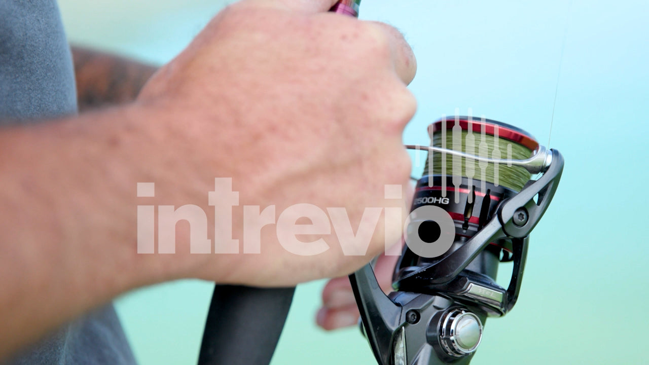 Reel Action Bass Fishing