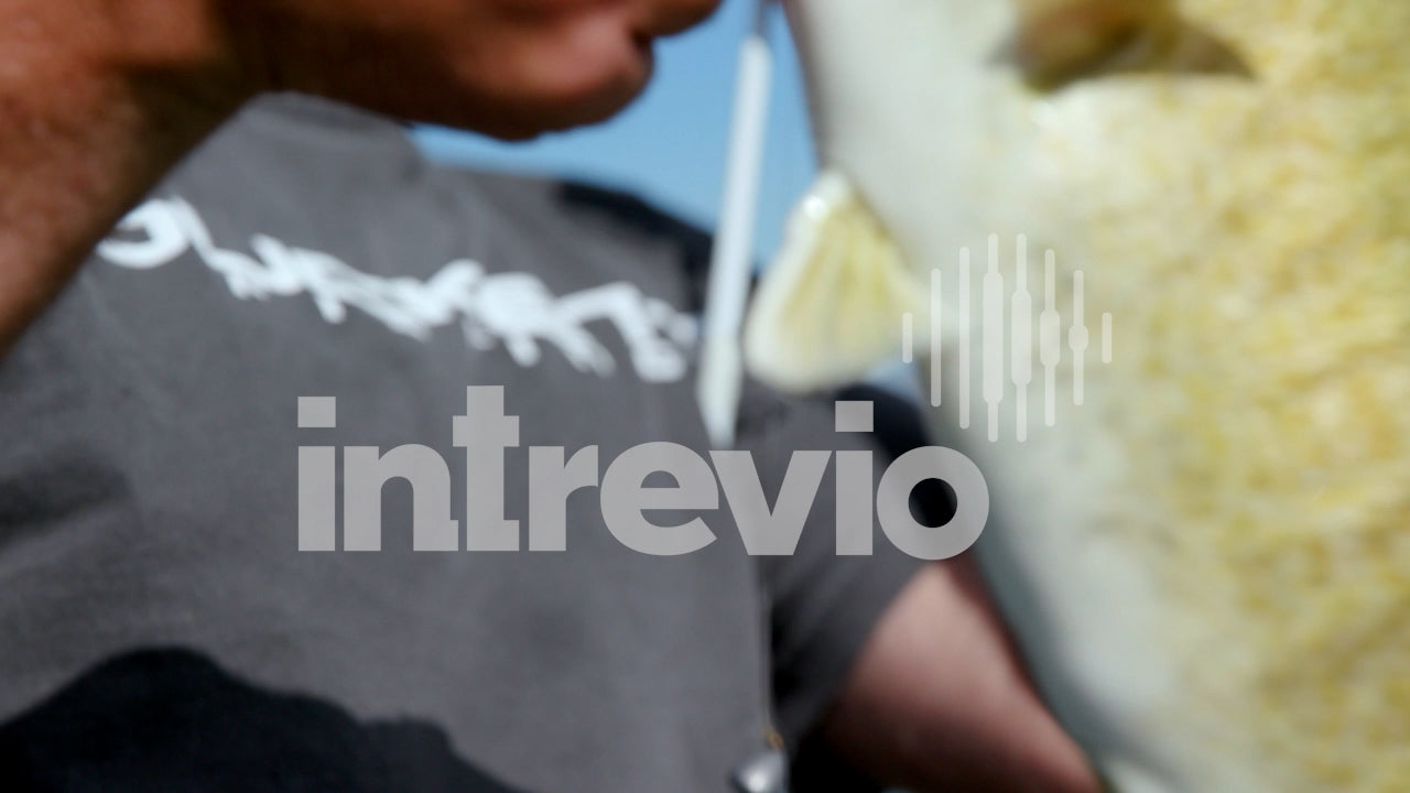 Smallmouth Bass Fishing - Collection (50 Clips)