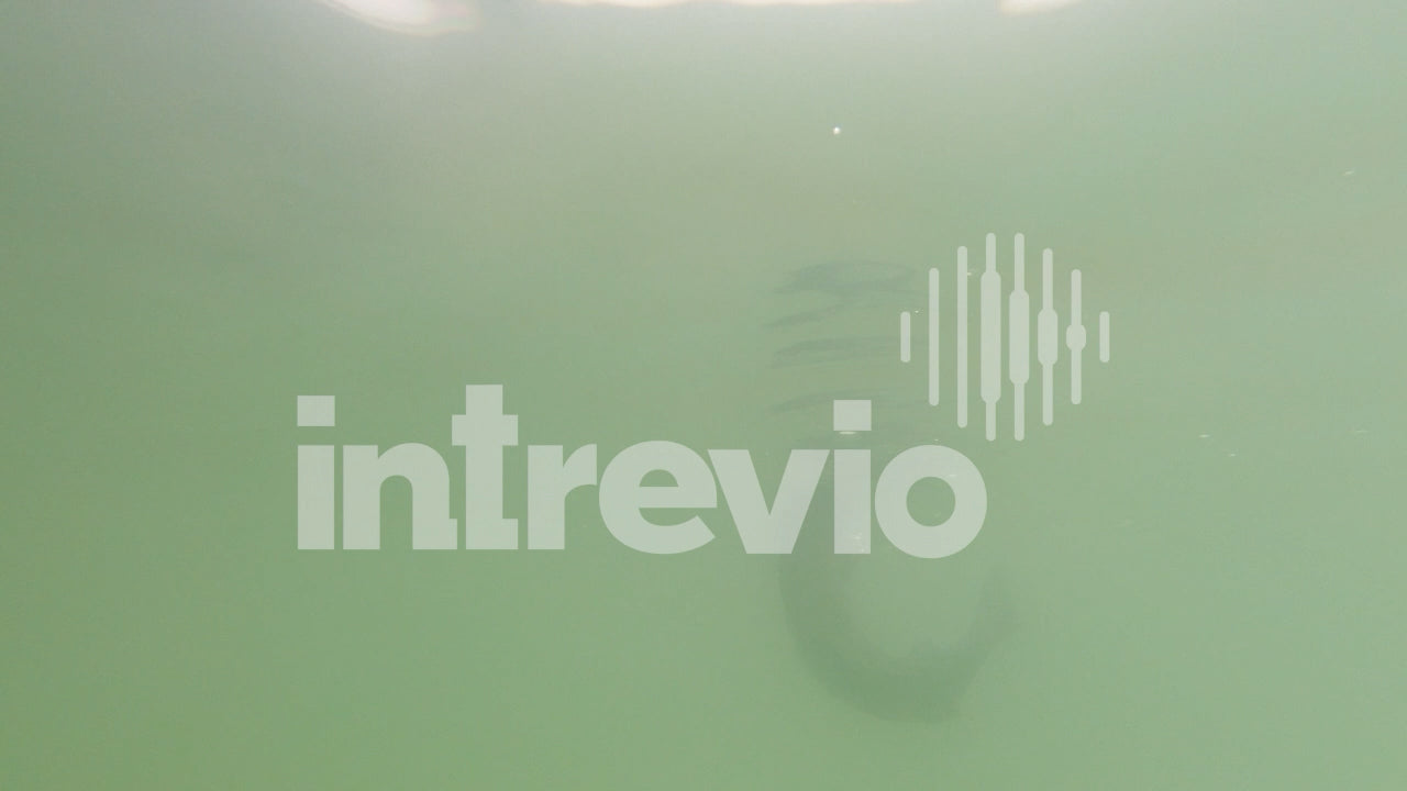 Underwater Smallmouth Bass Catch Landing Onto Boat