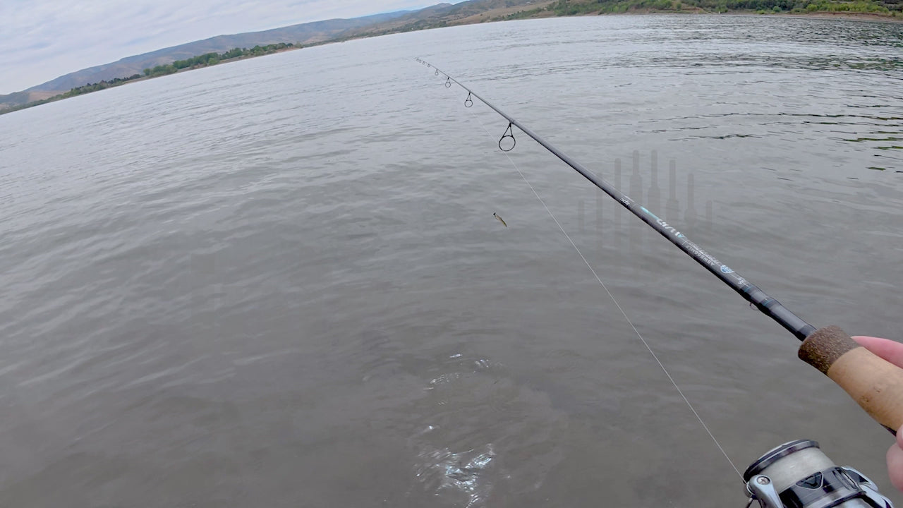 Catching Smallmouth Bass on Ned Rig-1