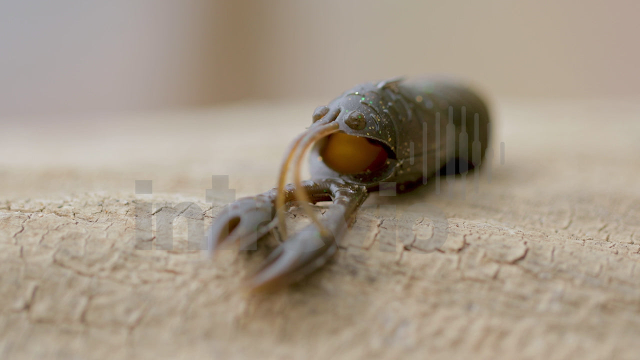 2.5 Juvy Craw Feature-1