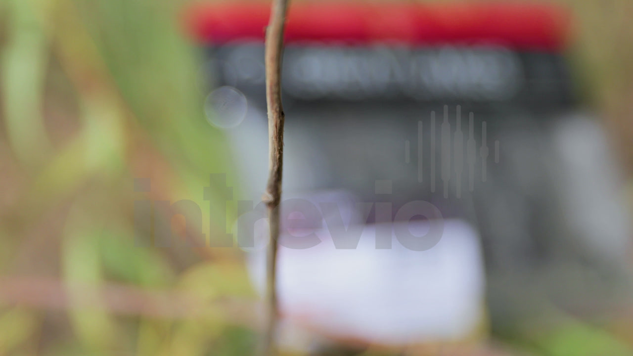 2.5 Juvy Craw Packaging-1