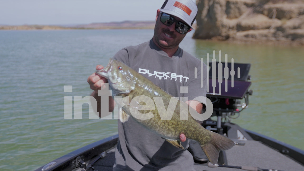 Weighing 4lb Smallmouth Bass-Duckett Reelure