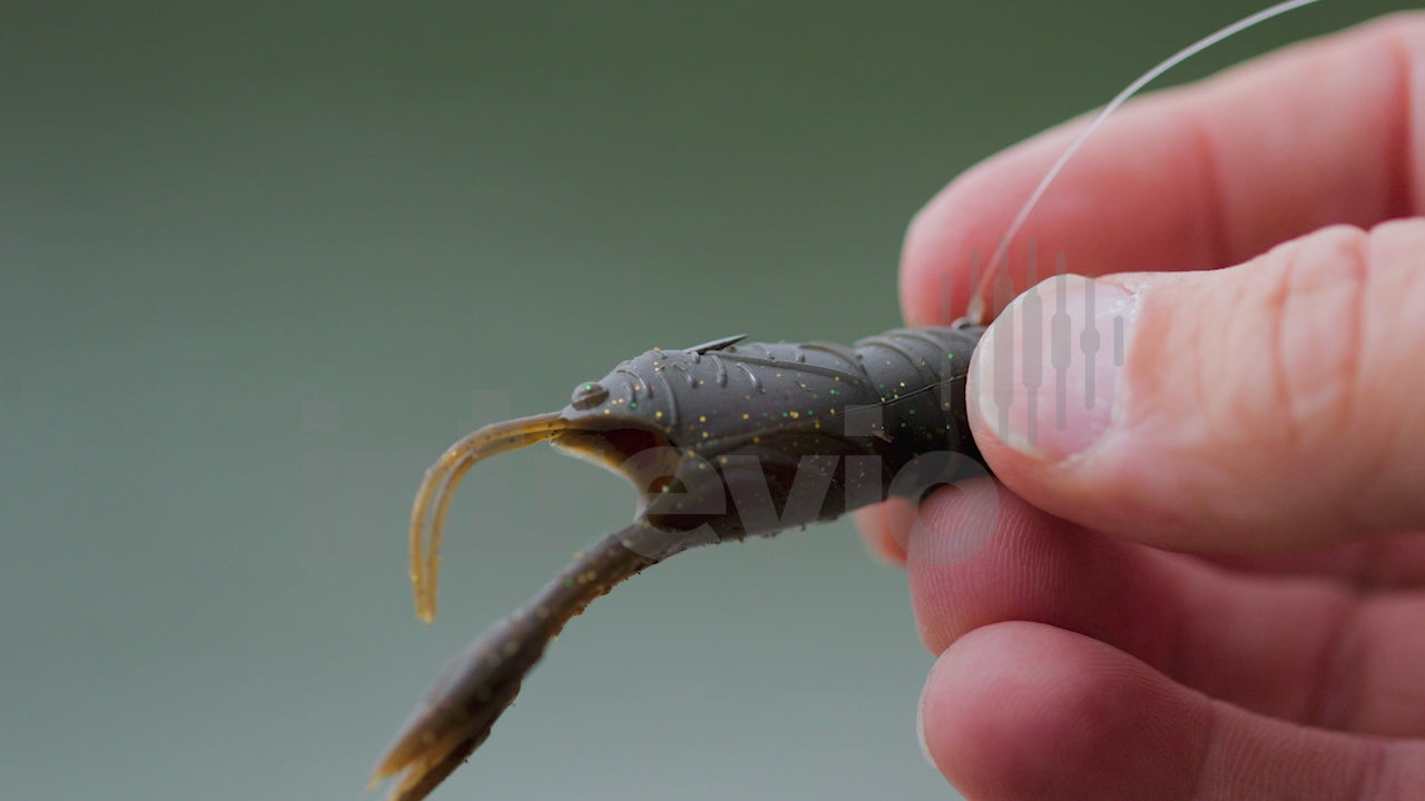 Holding  2.5 Juvy Craw-3