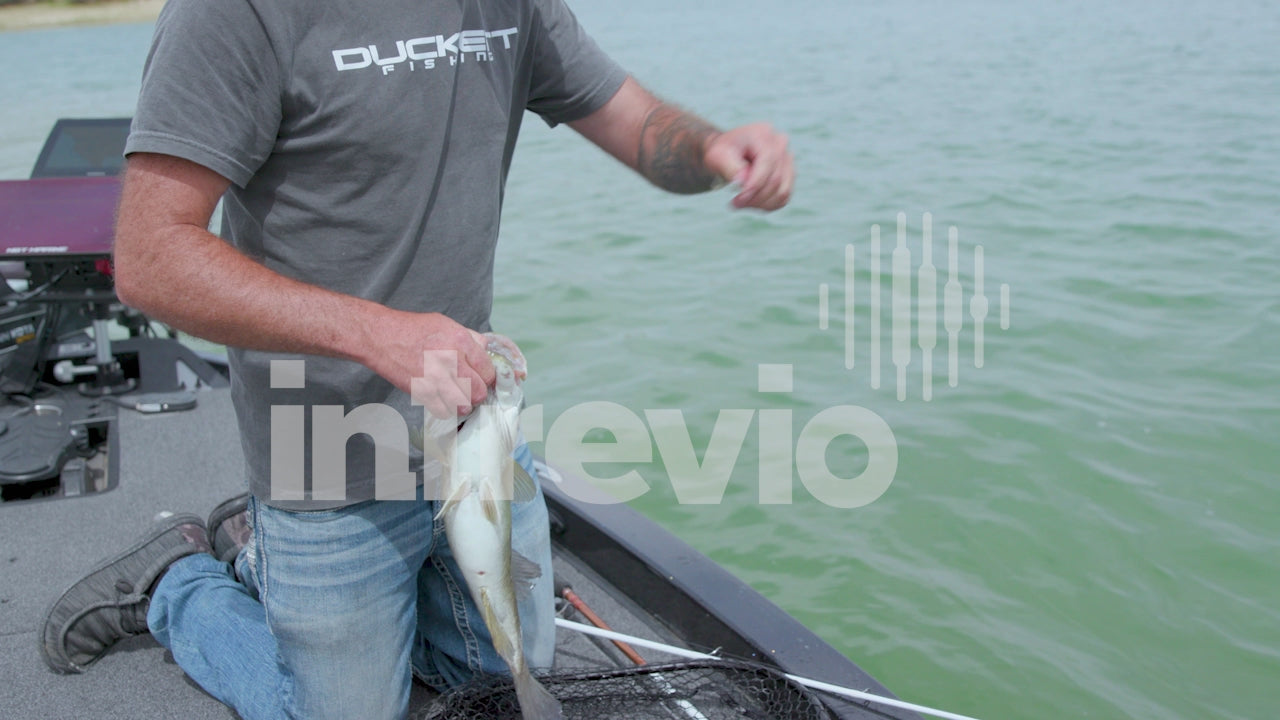 Holding Smallmouth Bass