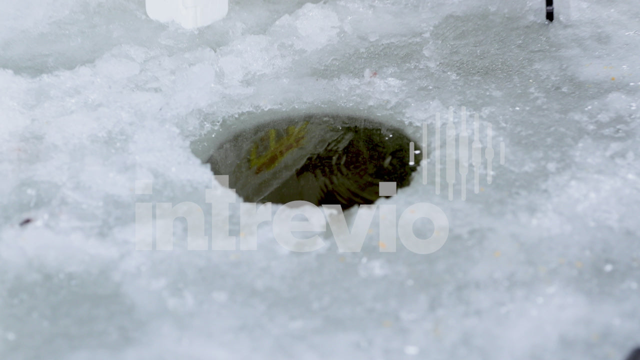 Catching Yellow Perch in Ice Fishing Hole