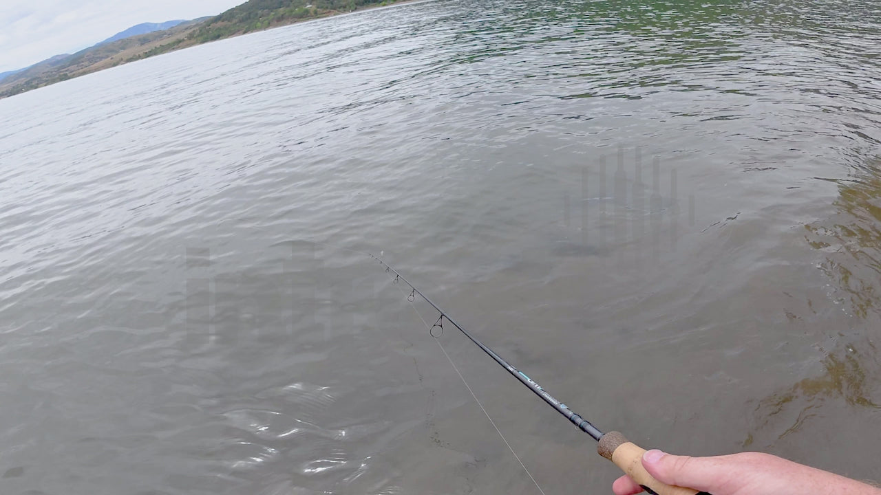 Catching Smallmouth Bass on Ned Rig-2