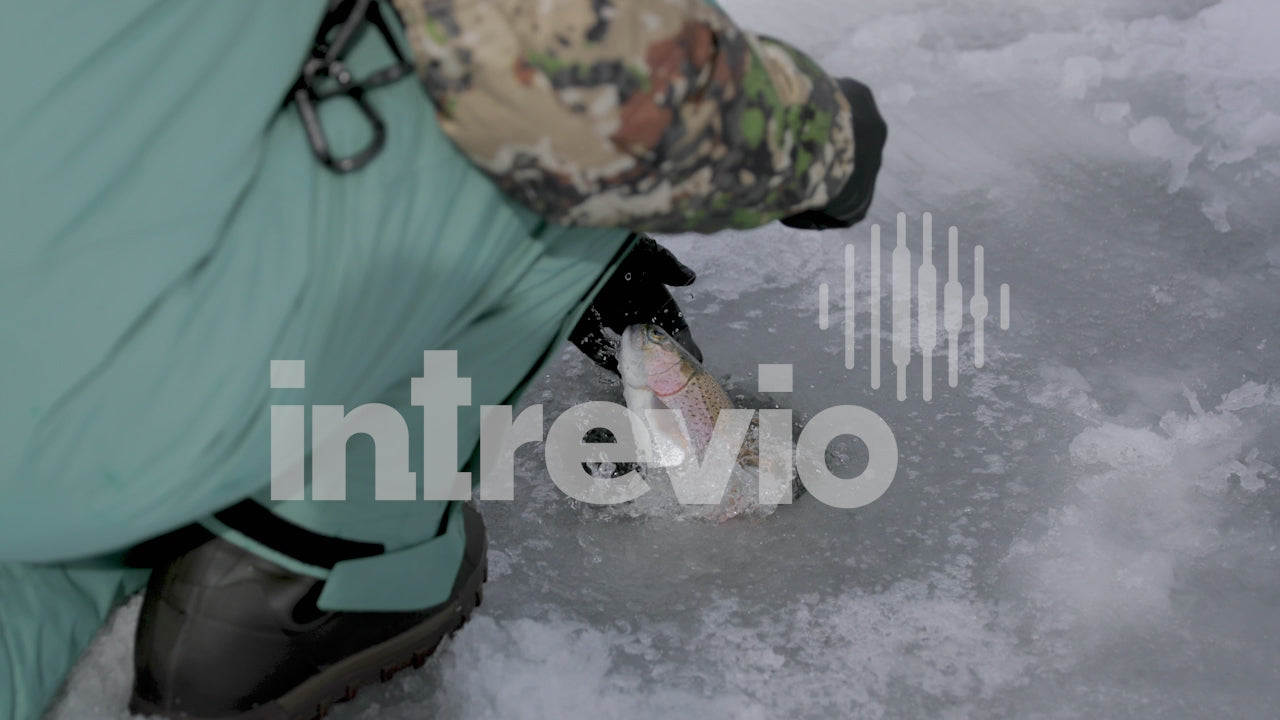 Pulling Rainboow Troout out of Ice Fishing Hole